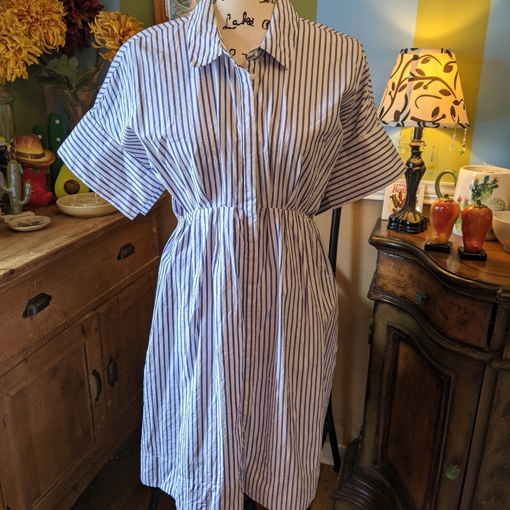 Victoria Beckham for Target Blue and White Striped Midi Dress